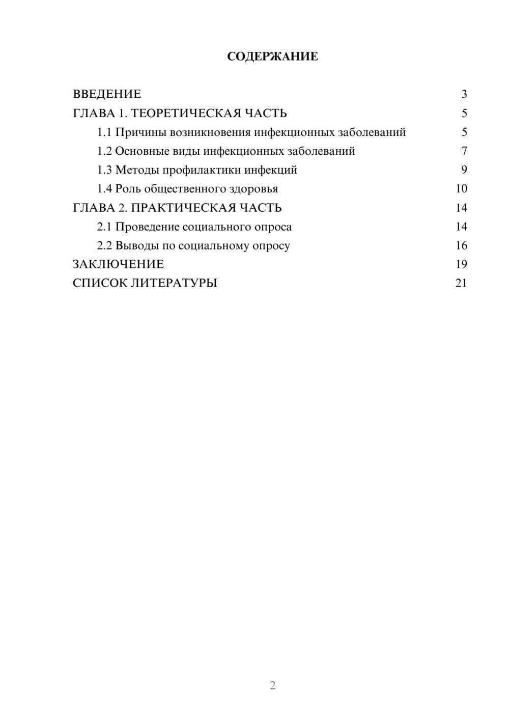 Предпросмотр проекта 2