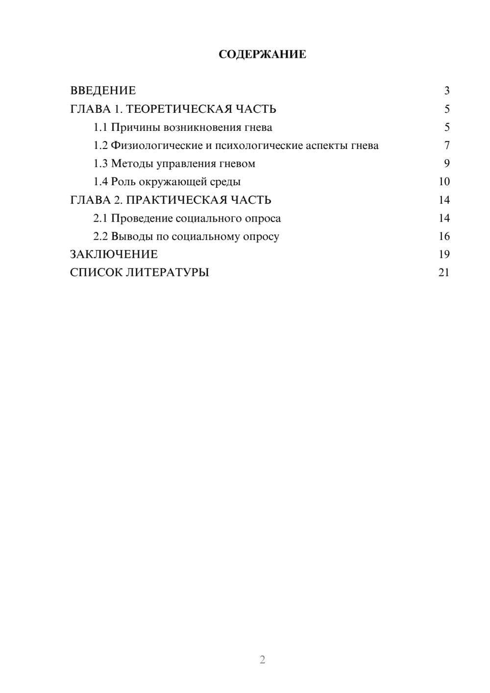 Предпросмотр проекта 2