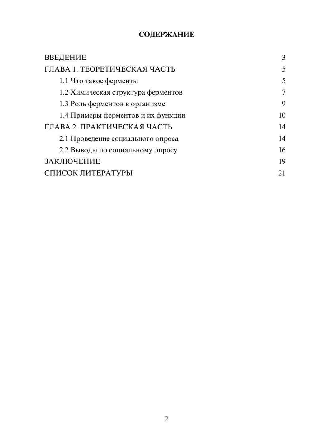 Предпросмотр проекта 2