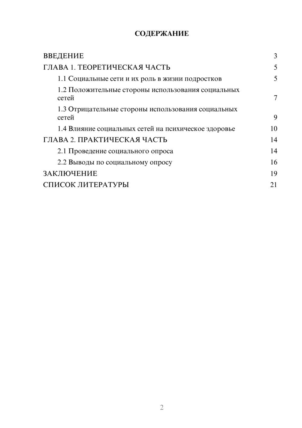 Предпросмотр проекта 2