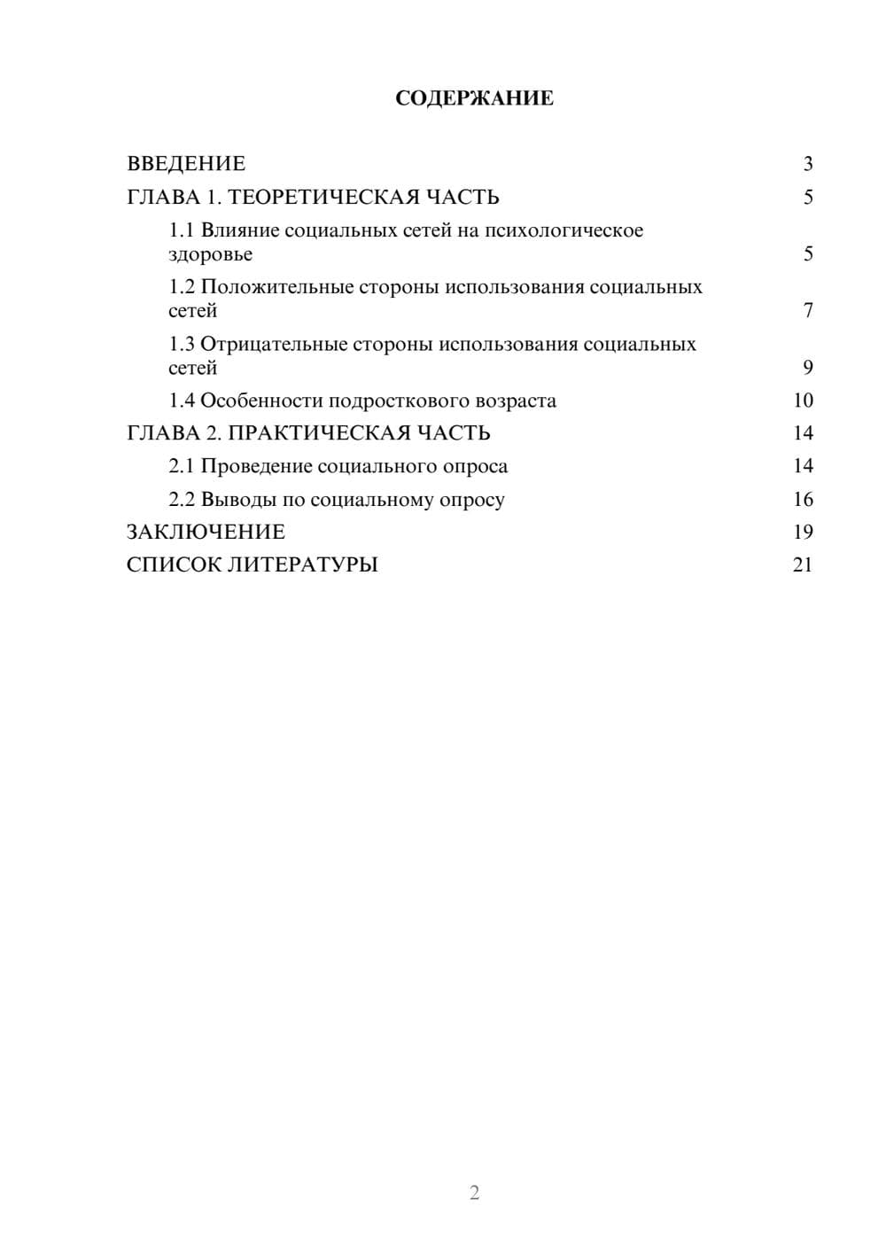 Предпросмотр проекта 2