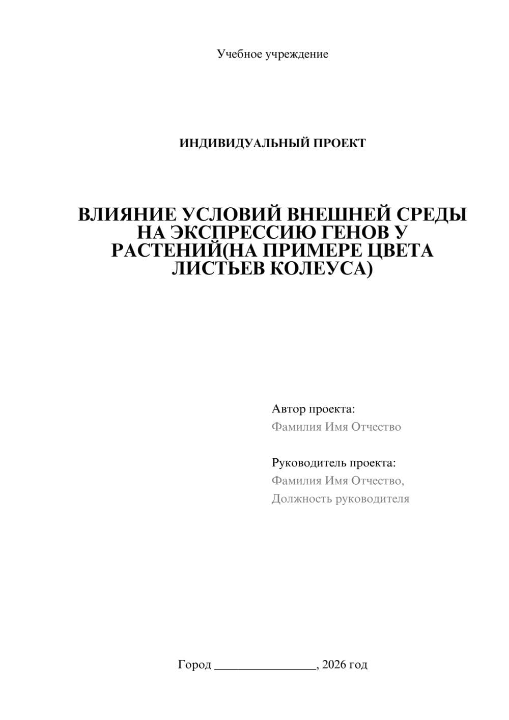 Предпросмотр проекта 1