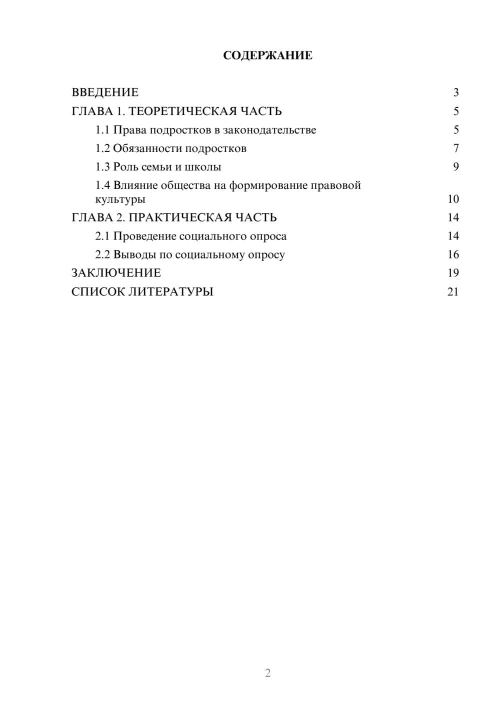 Предпросмотр проекта 2