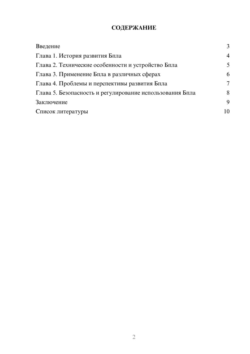 Предпросмотр доклада 2