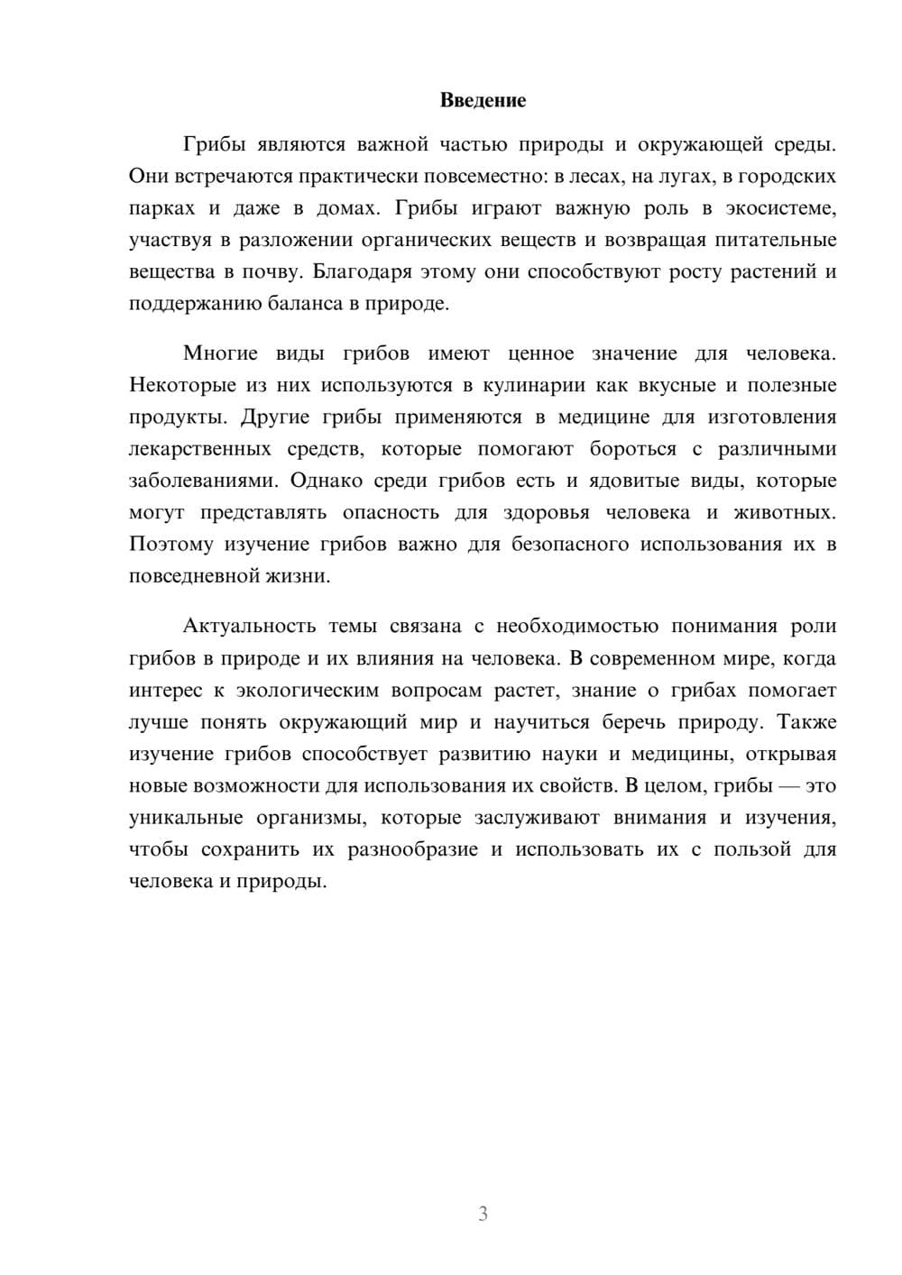 Предпросмотр доклада 3