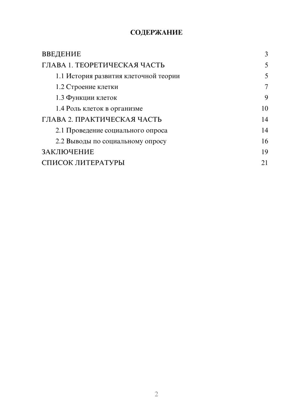 Предпросмотр проекта 2
