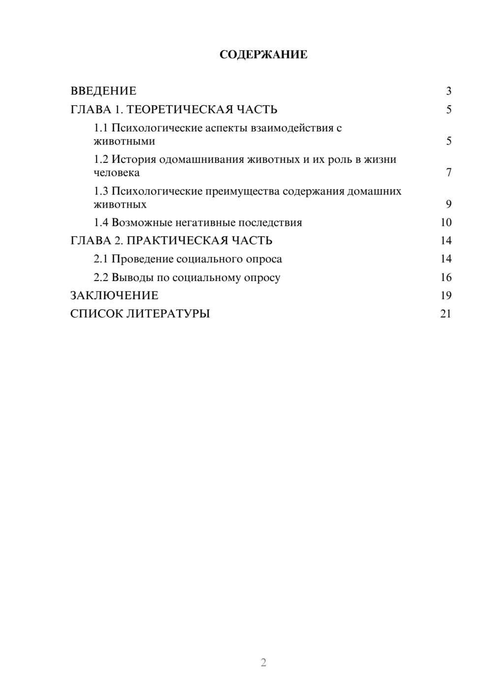 Предпросмотр проекта 2