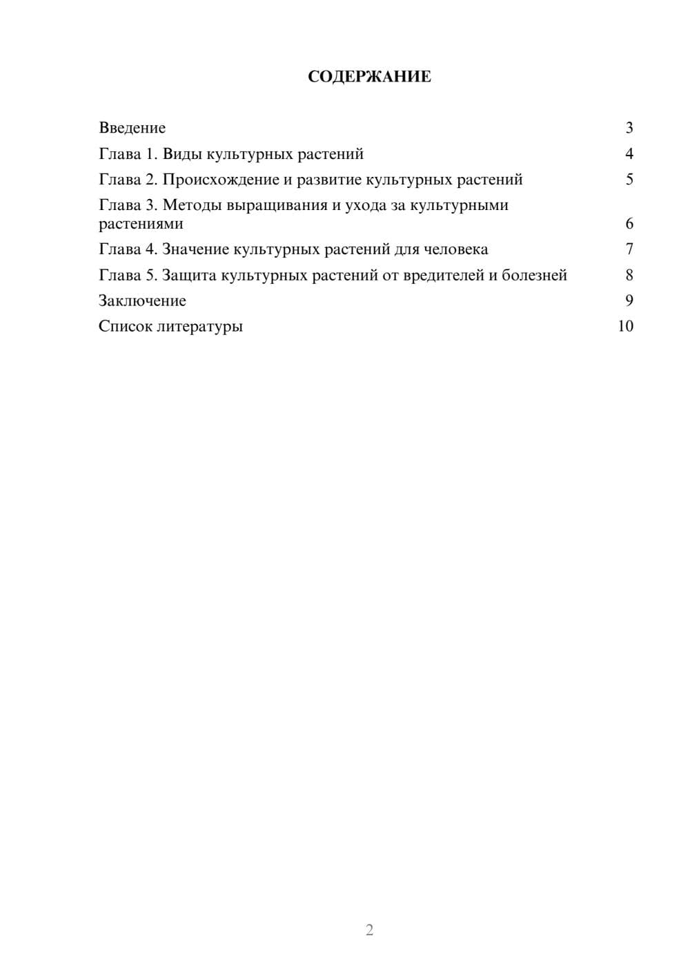 Предпросмотр доклада 2