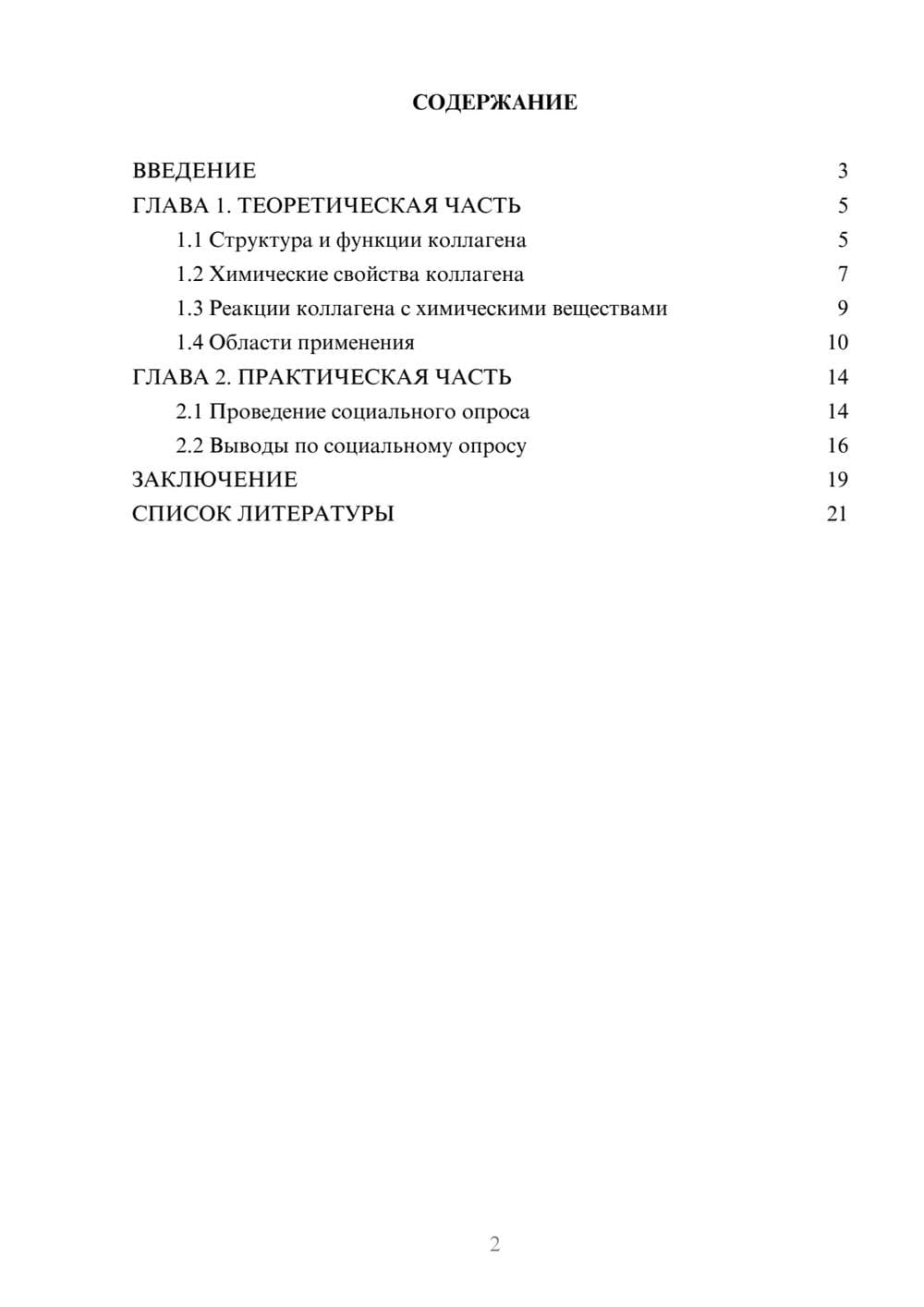 Предпросмотр проекта 2