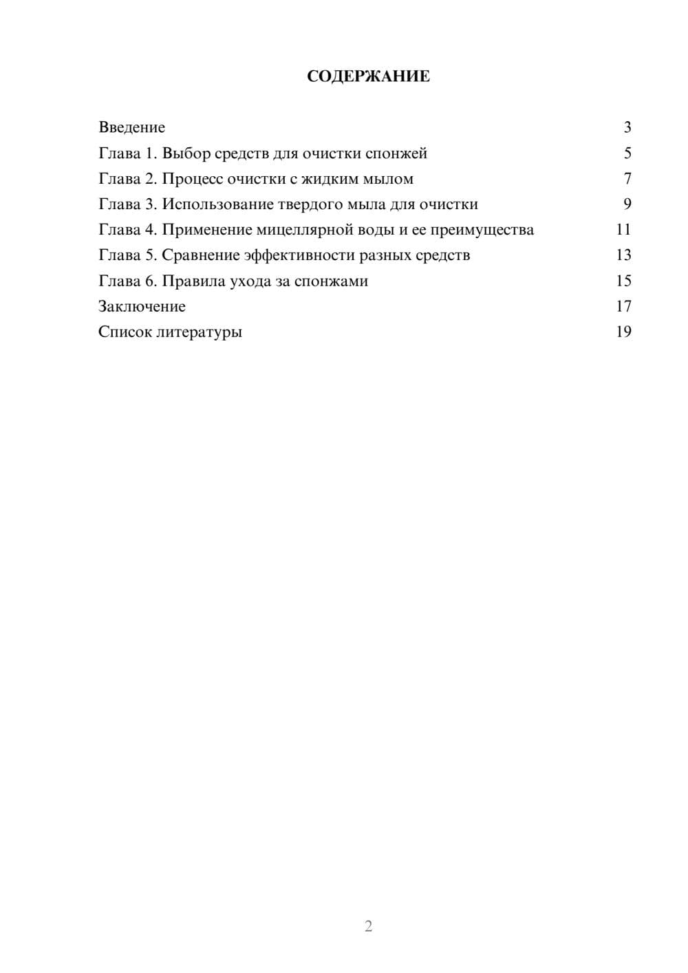 Предпросмотр доклада 2