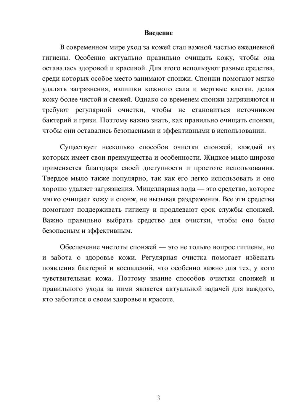 Предпросмотр доклада 3