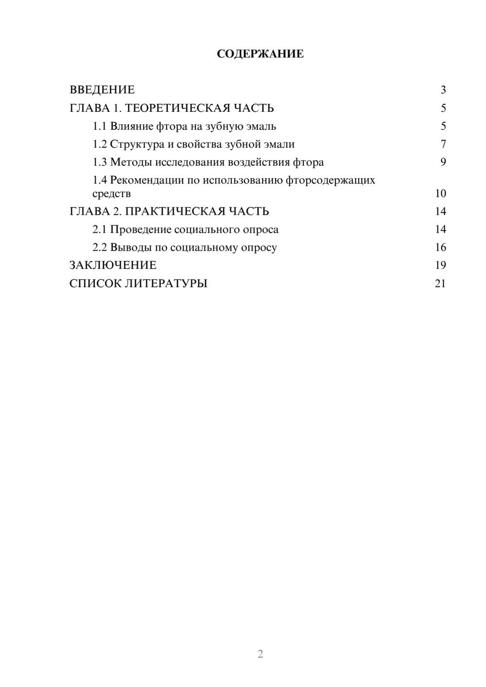 Предпросмотр проекта 2