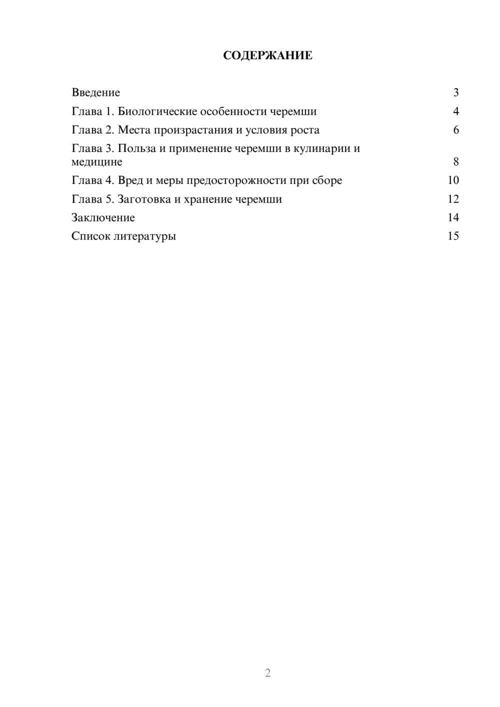 Предпросмотр доклада 2