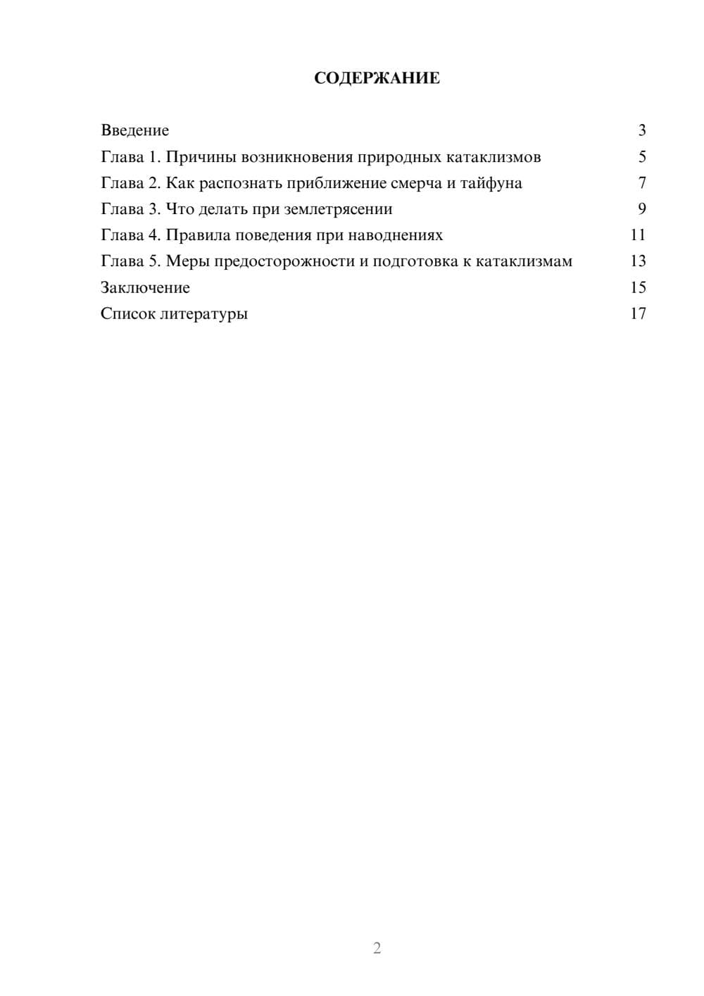 Предпросмотр доклада 2