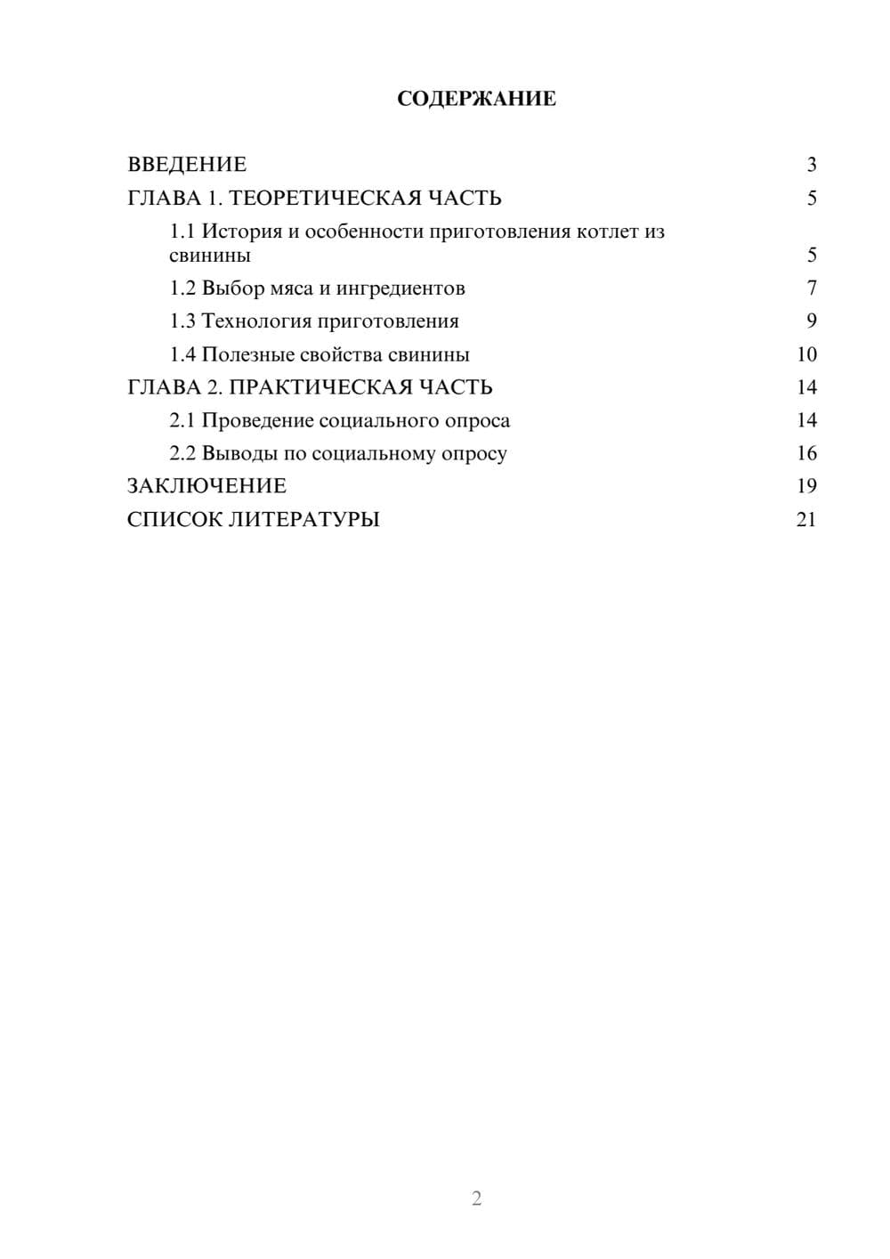 Предпросмотр проекта 2