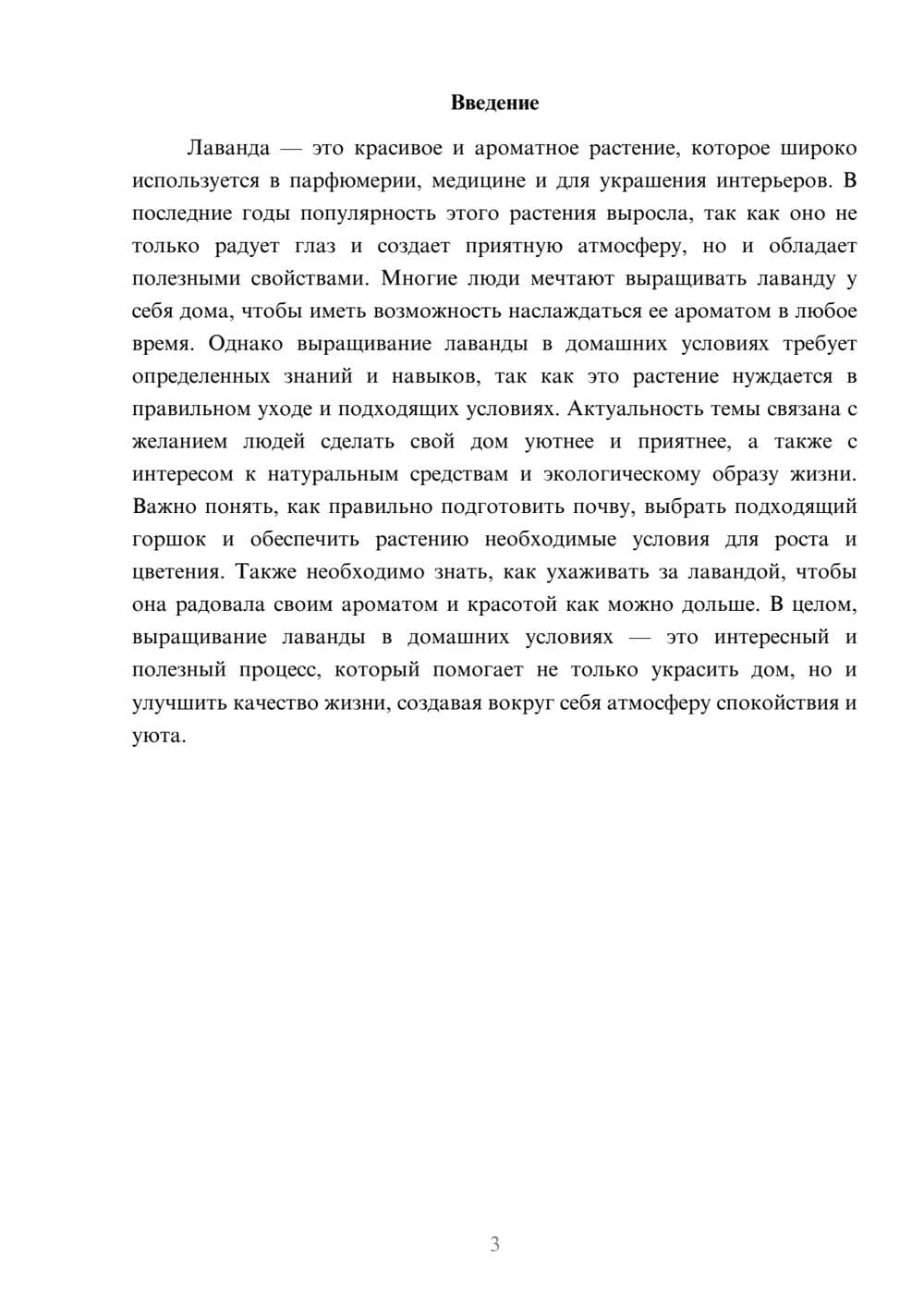 Предпросмотр доклада 3