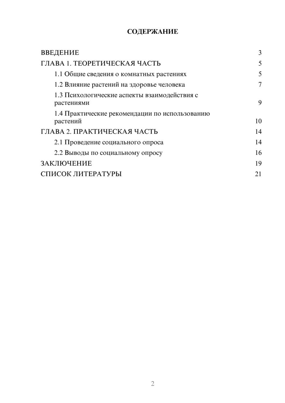 Предпросмотр проекта 2