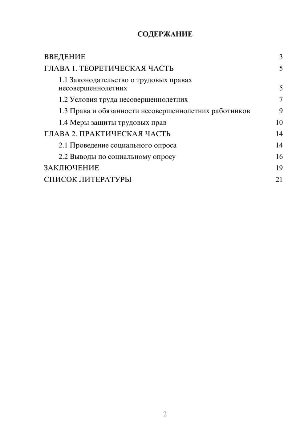 Предпросмотр проекта 2