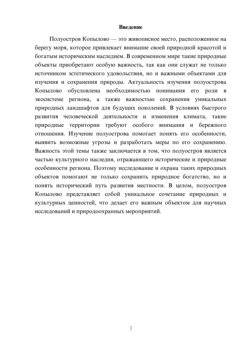 Предпросмотр доклада 3