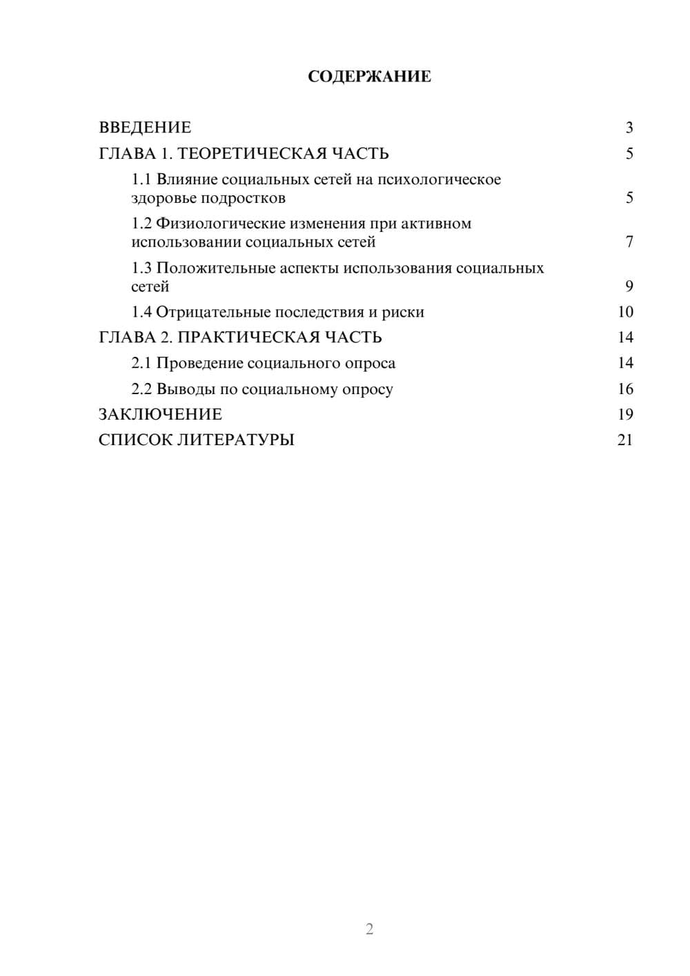 Предпросмотр проекта 2