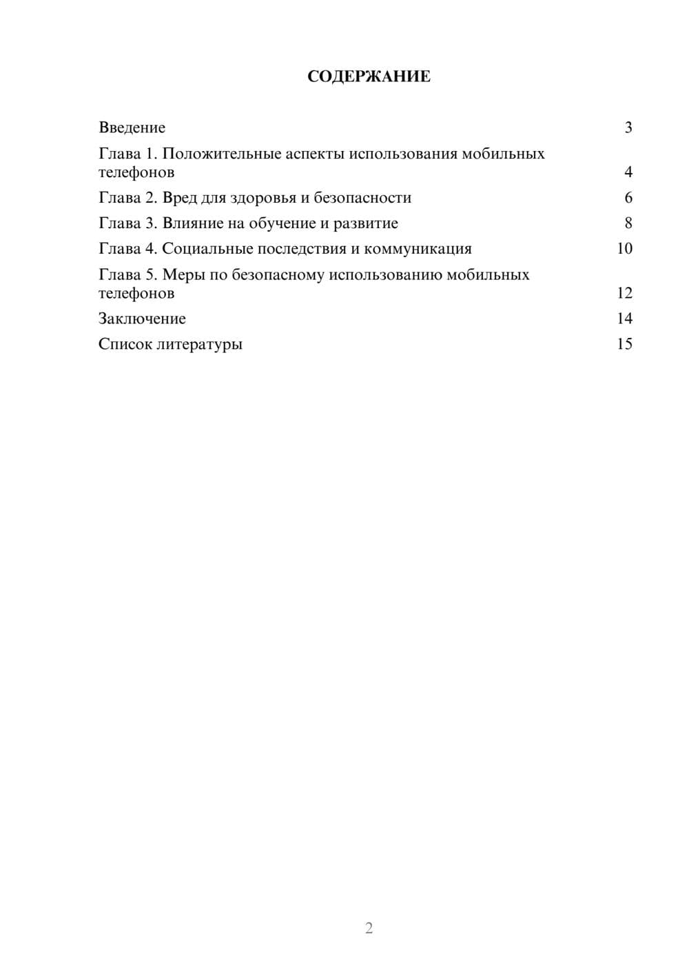 Предпросмотр доклада 2