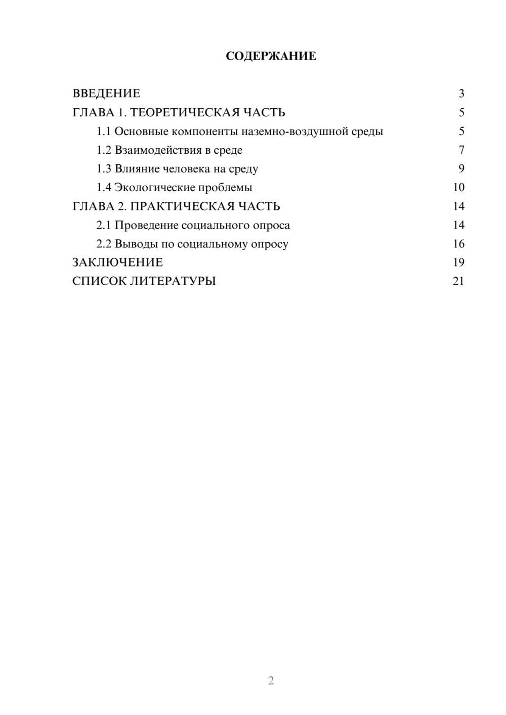 Предпросмотр проекта 2