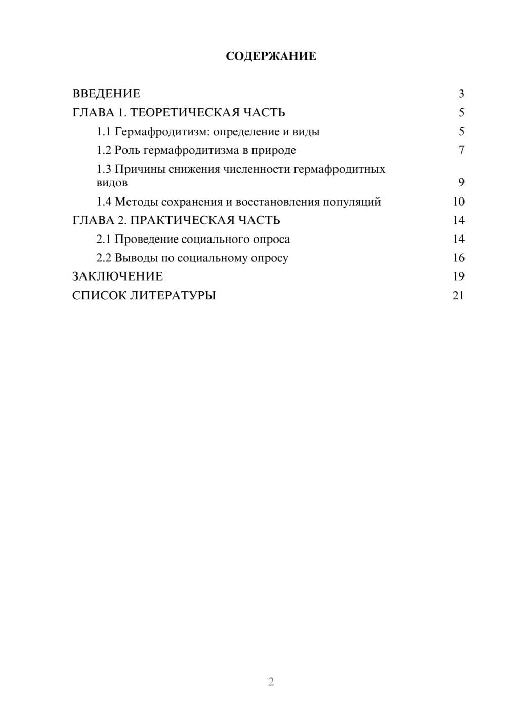 Предпросмотр проекта 2