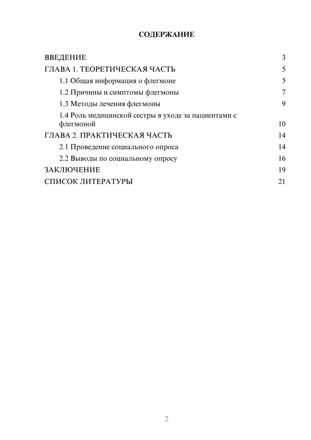 Предпросмотр проекта 2