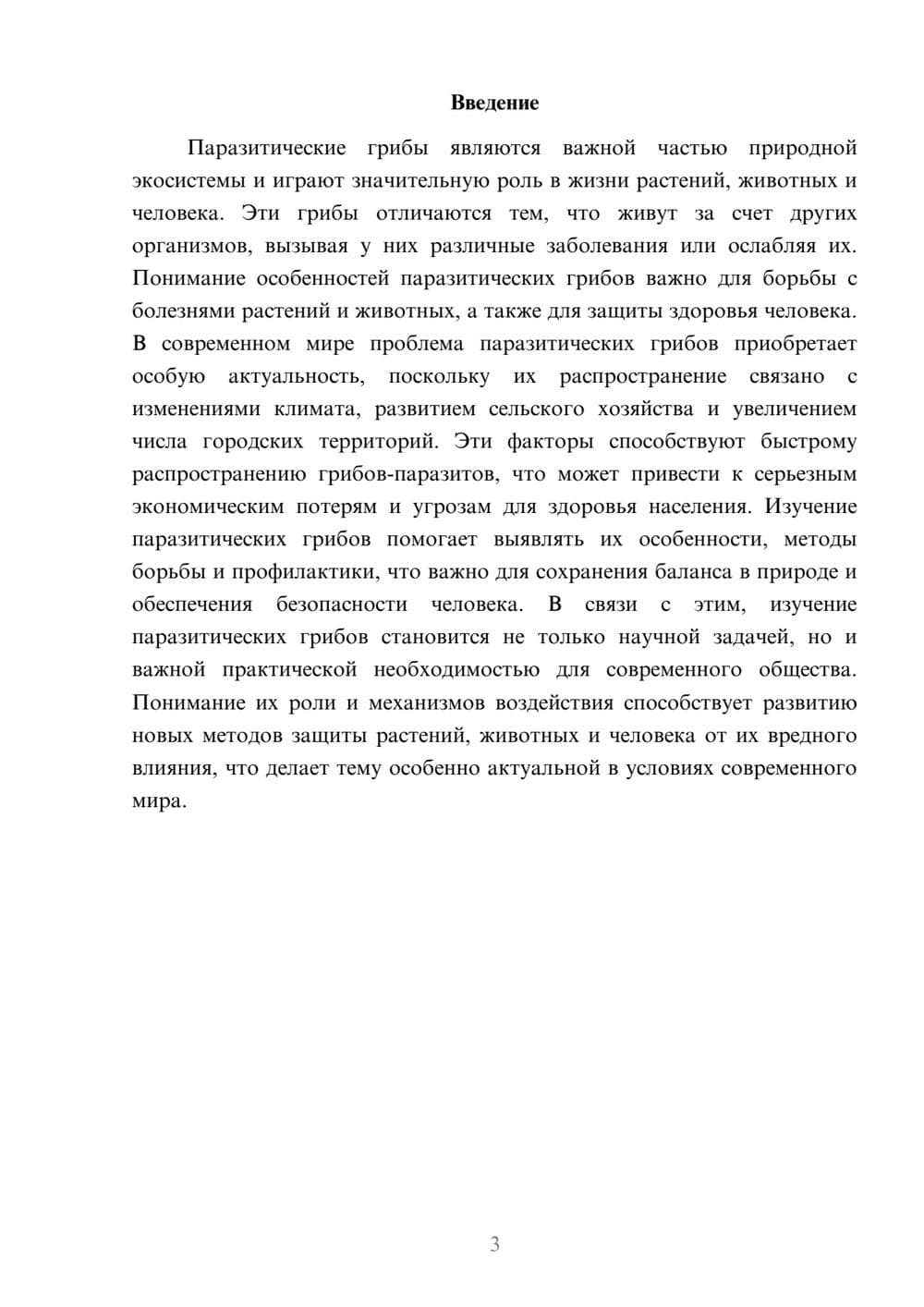 Предпросмотр доклада 3