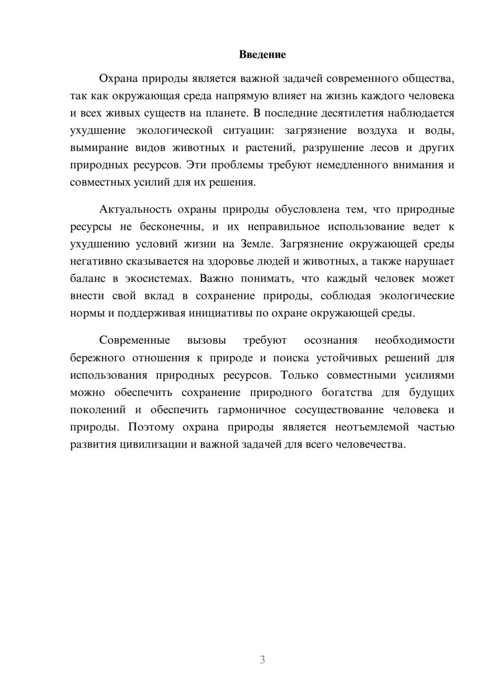 Предпросмотр доклада 3