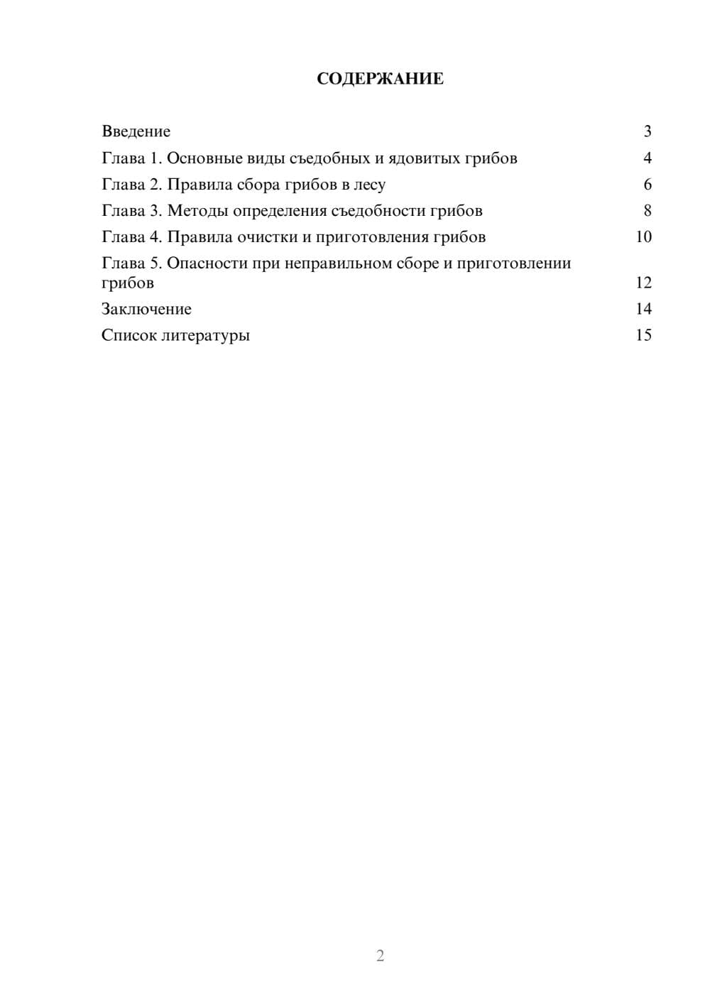 Предпросмотр доклада 2