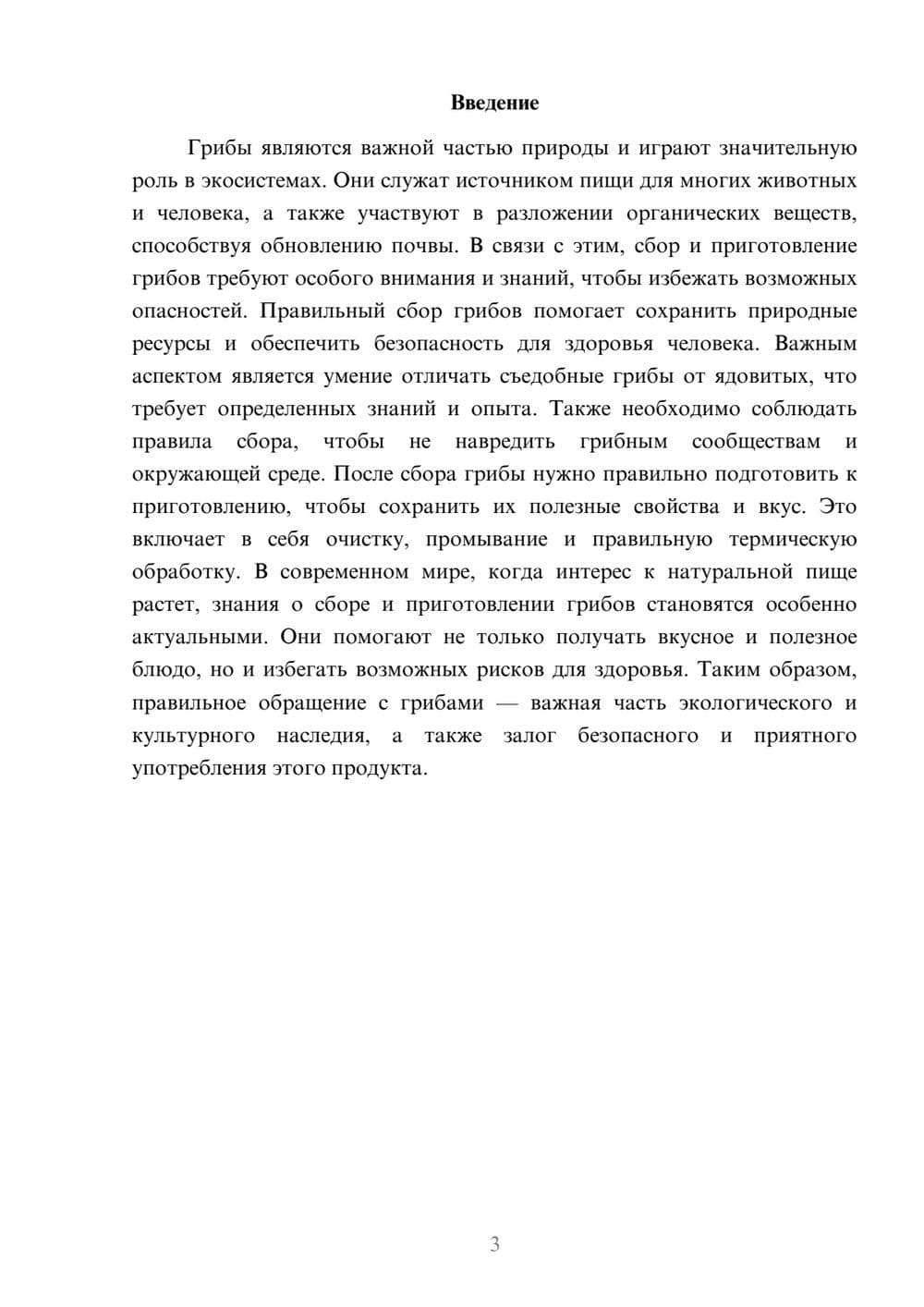Предпросмотр доклада 3