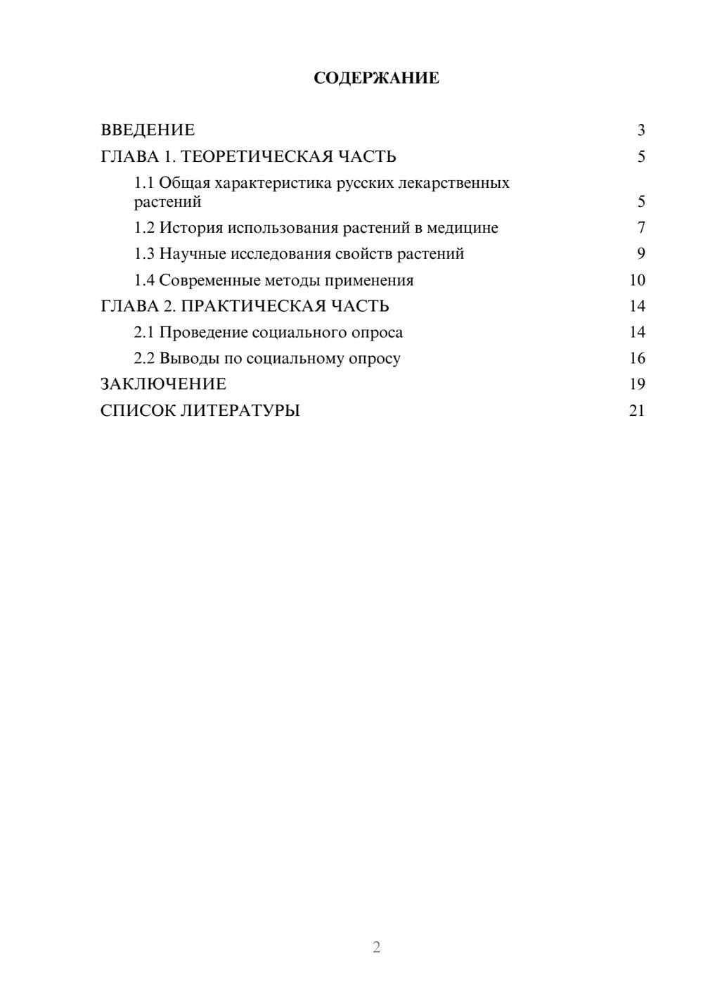 Предпросмотр проекта 2