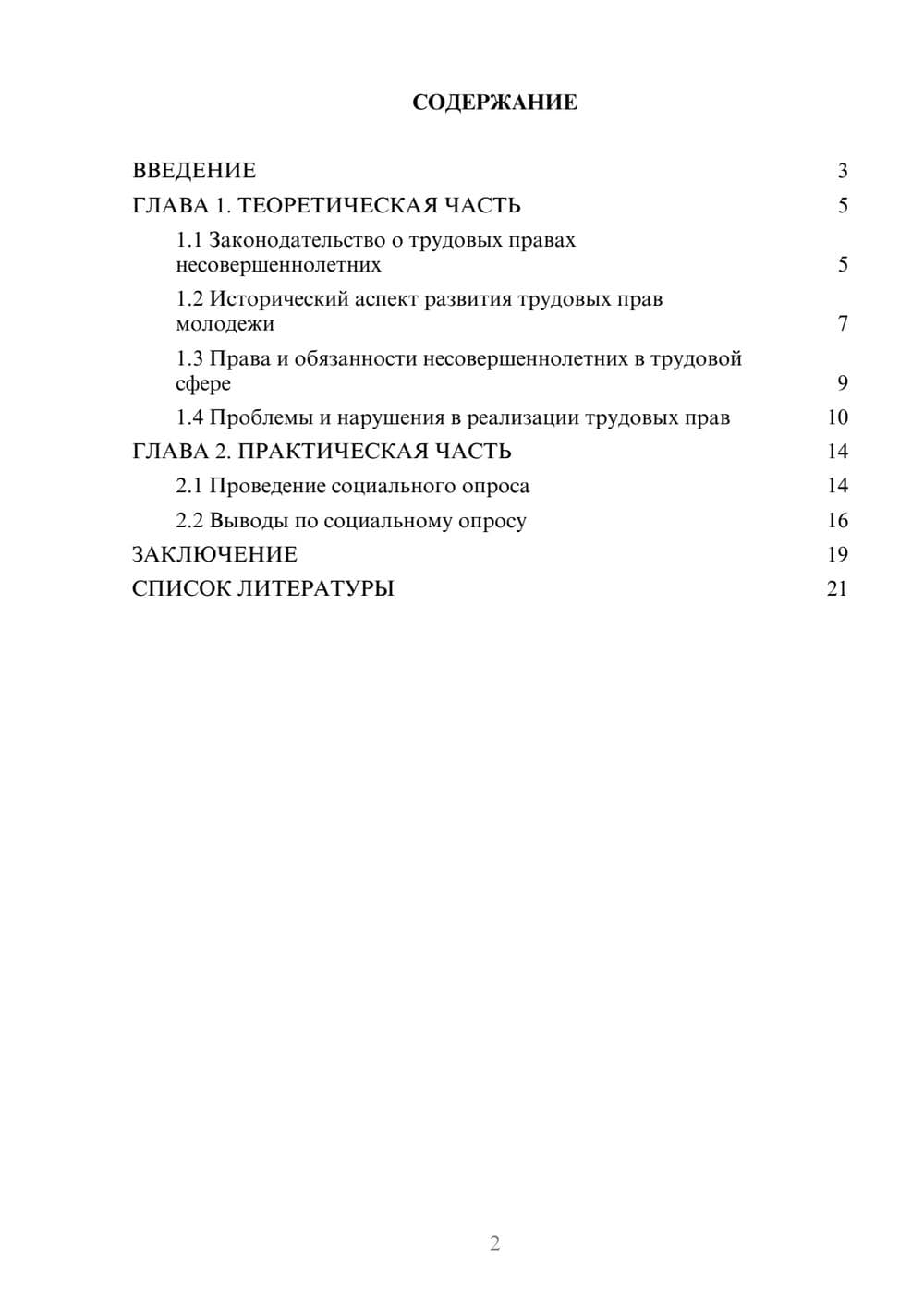 Предпросмотр проекта 2