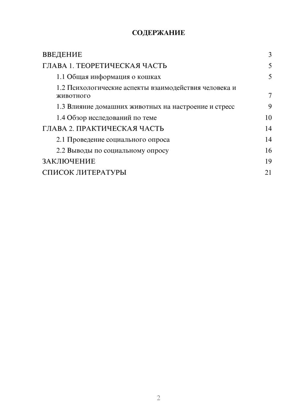 Предпросмотр проекта 2