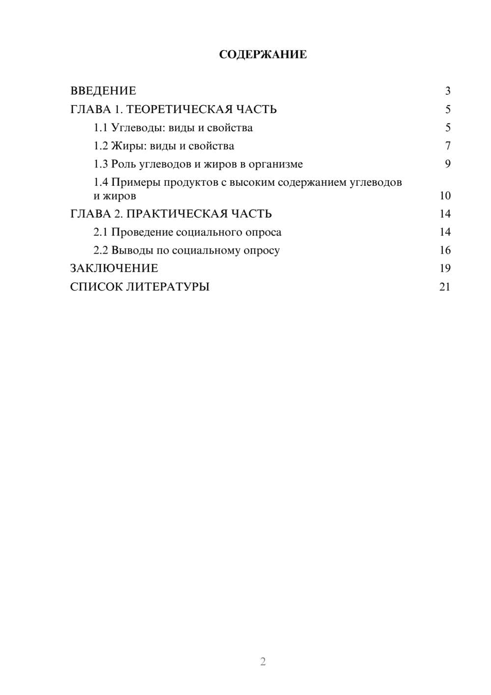Предпросмотр проекта 2