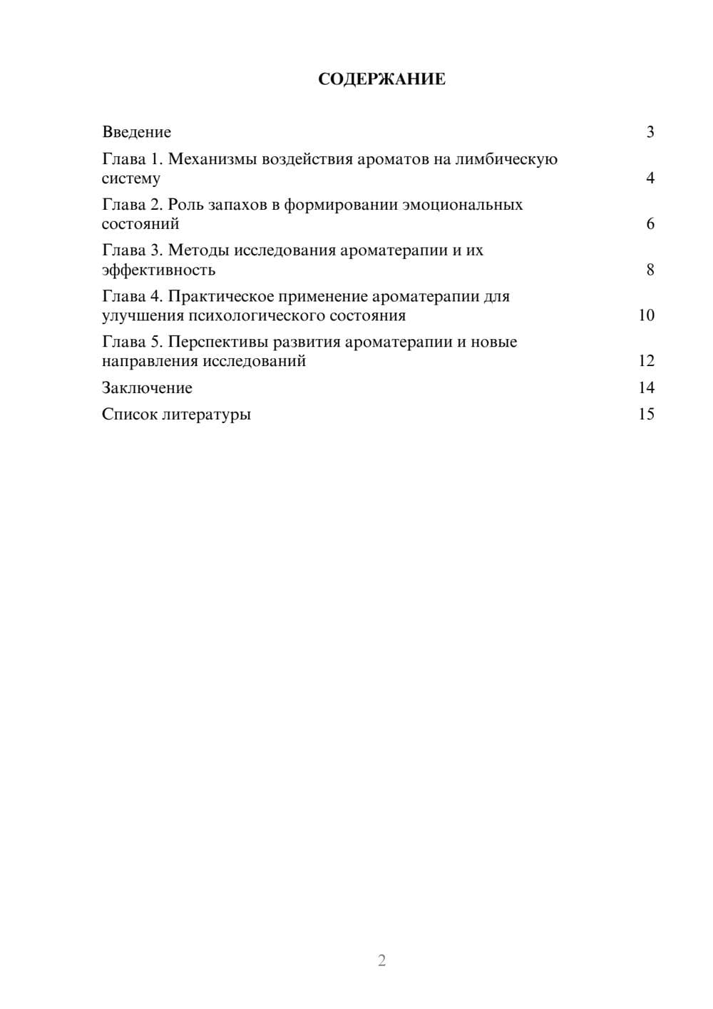 Предпросмотр доклада 2