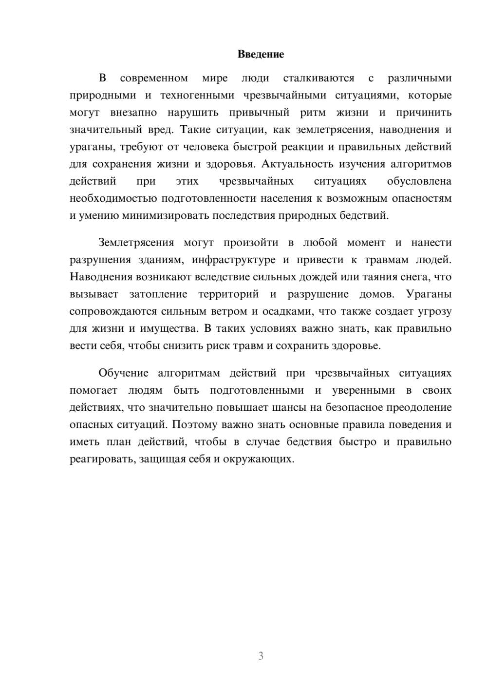 Предпросмотр доклада 3