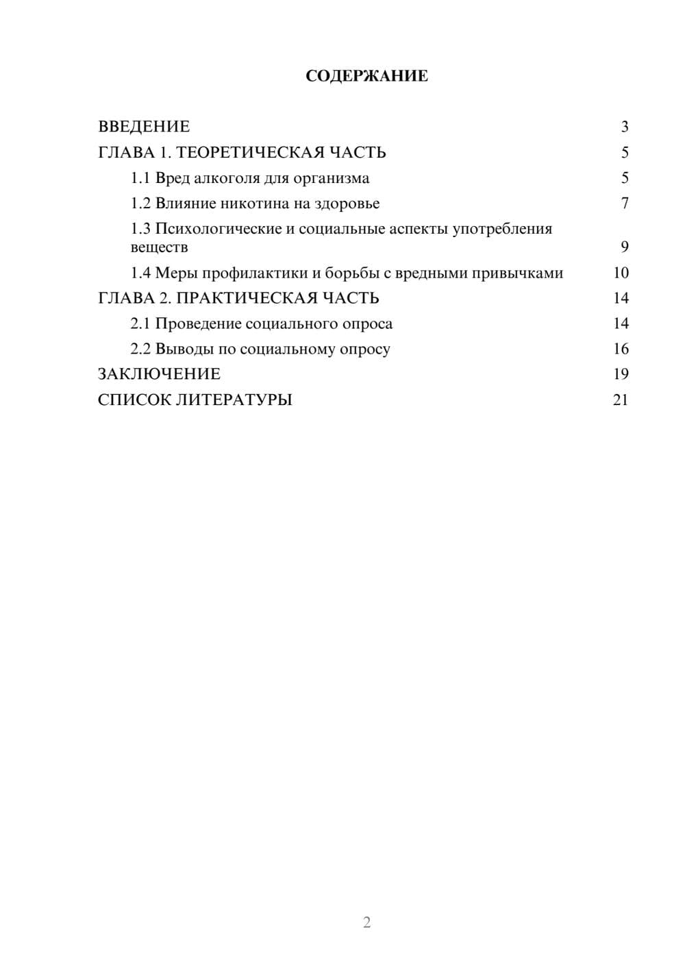 Предпросмотр проекта 2