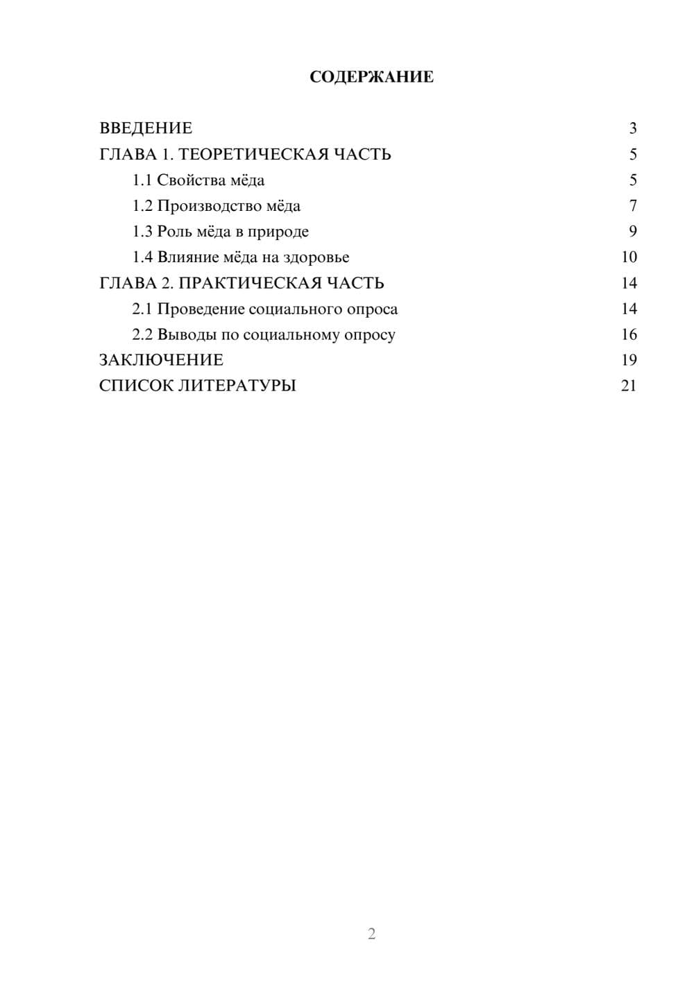 Предпросмотр проекта 2