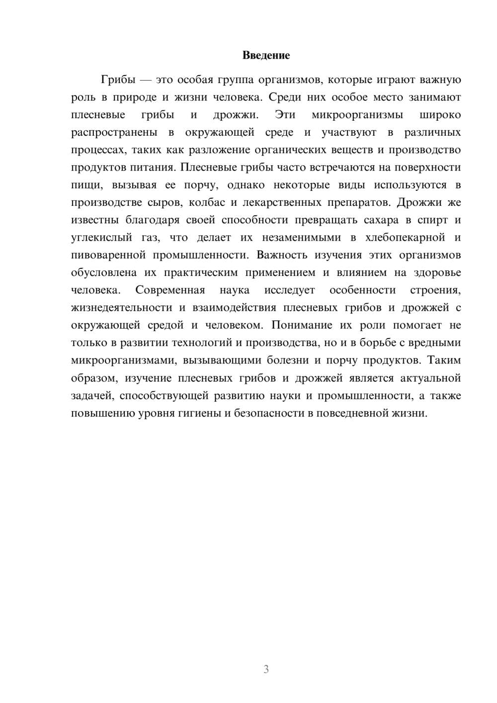 Предпросмотр доклада 3