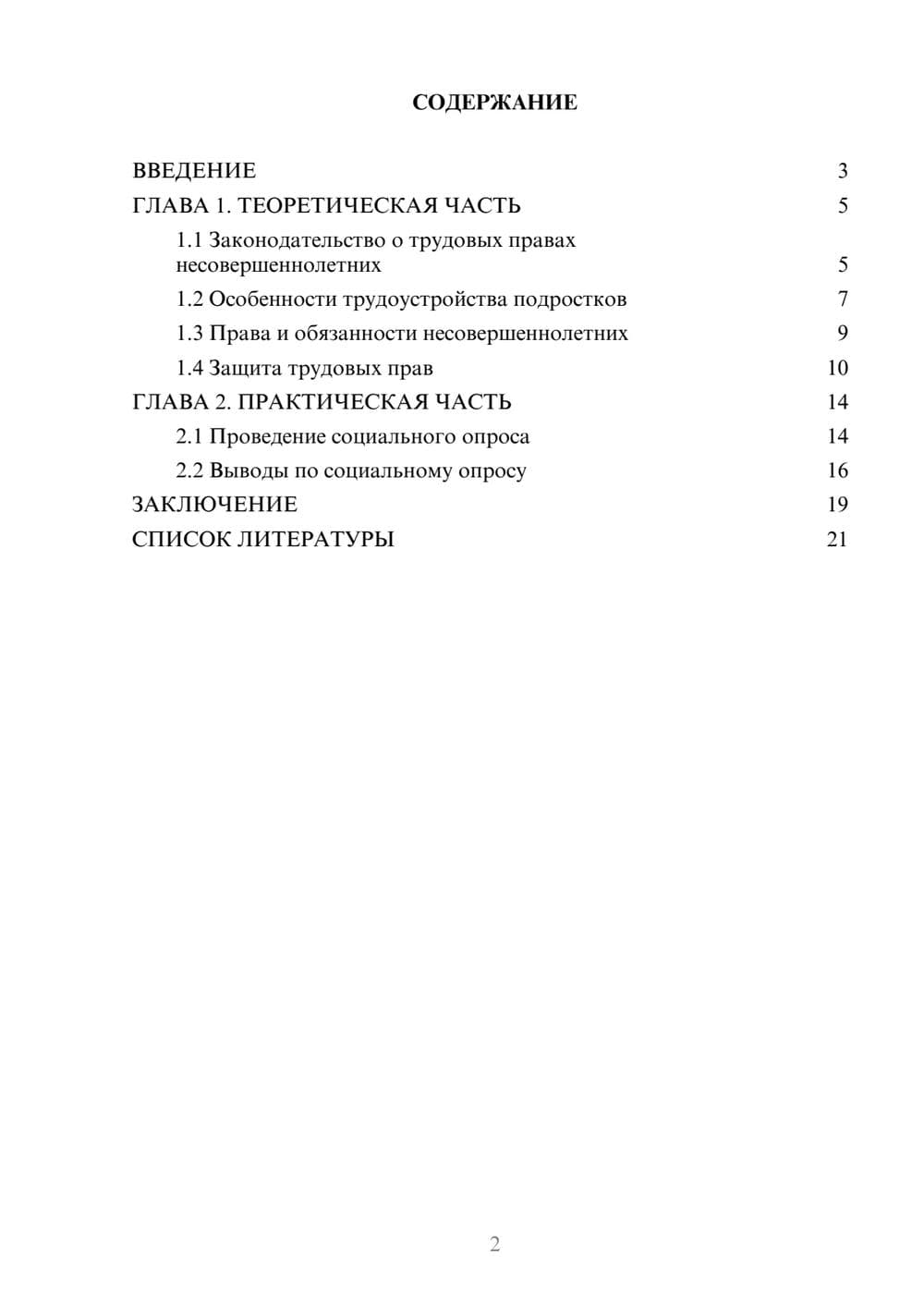 Предпросмотр проекта 2