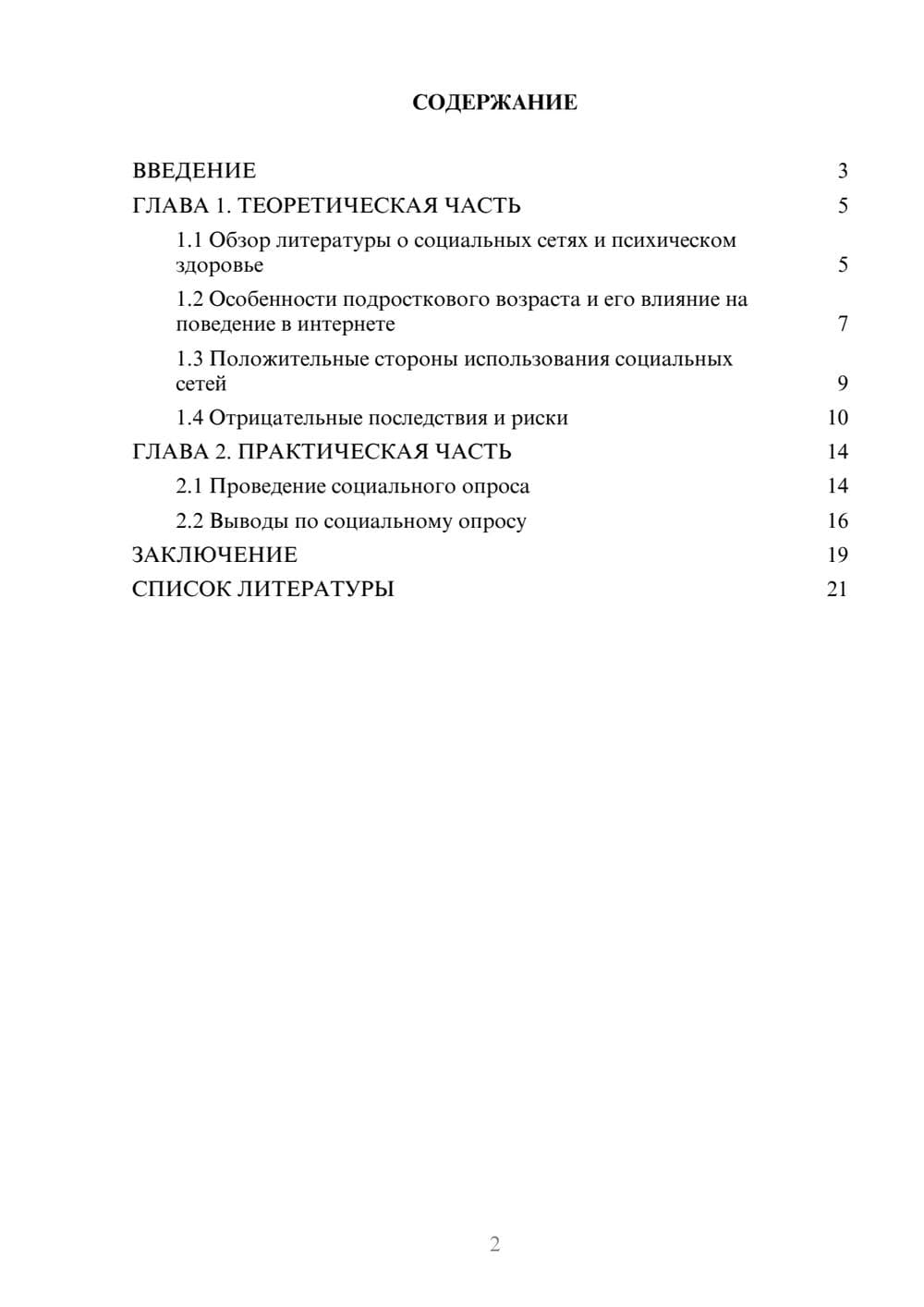 Предпросмотр проекта 2