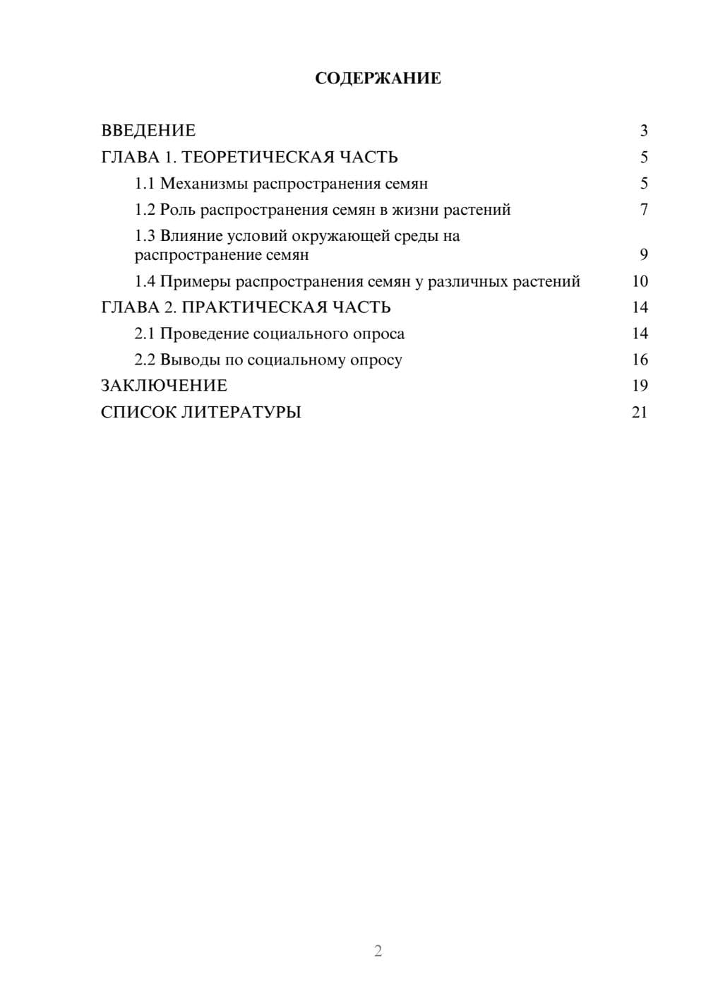 Предпросмотр проекта 2
