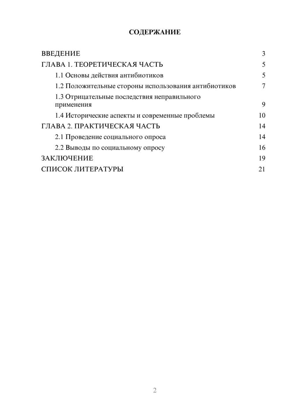 Предпросмотр проекта 2