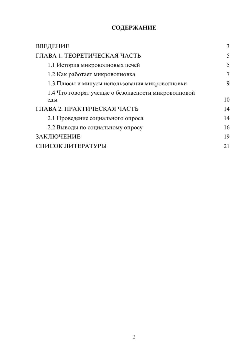 Предпросмотр проекта 2