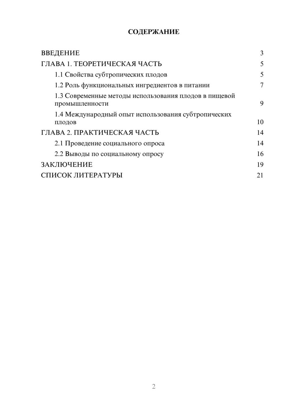 Предпросмотр проекта 2