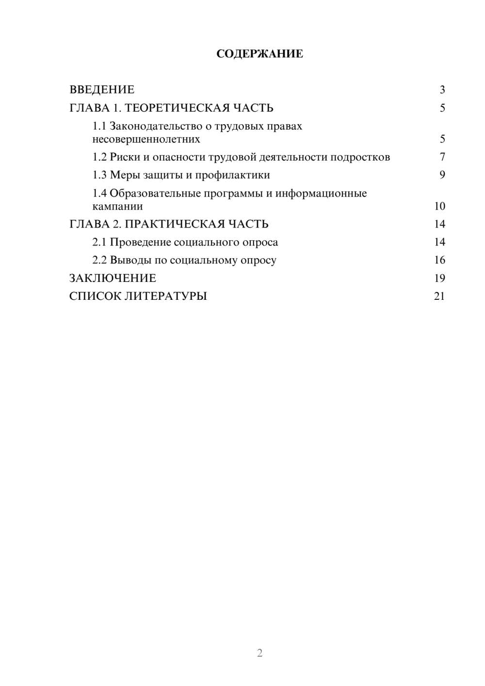 Предпросмотр проекта 2