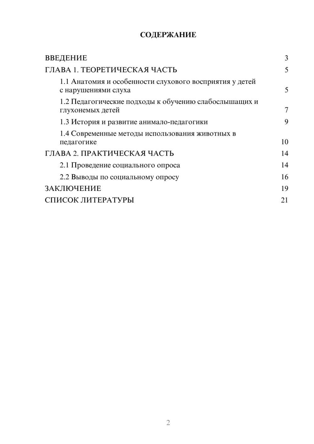 Предпросмотр проекта 2