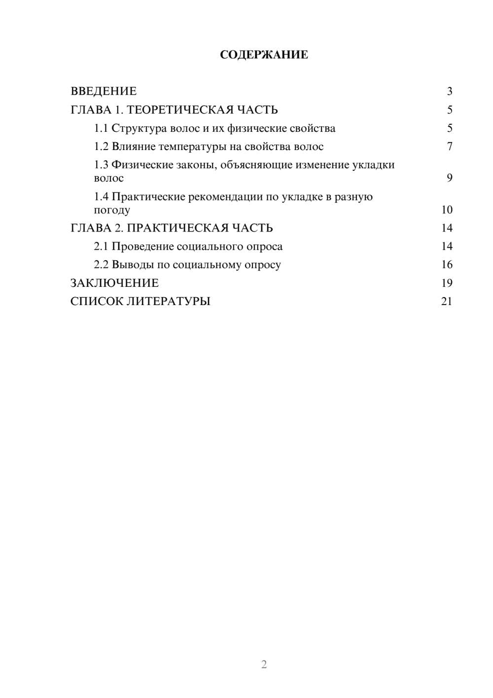 Предпросмотр проекта 2